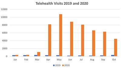 Pediatric Telehealth Expansion in Response to COVID-19